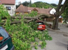 Kwikfynd Tree Cutting Services
kamarookanorth